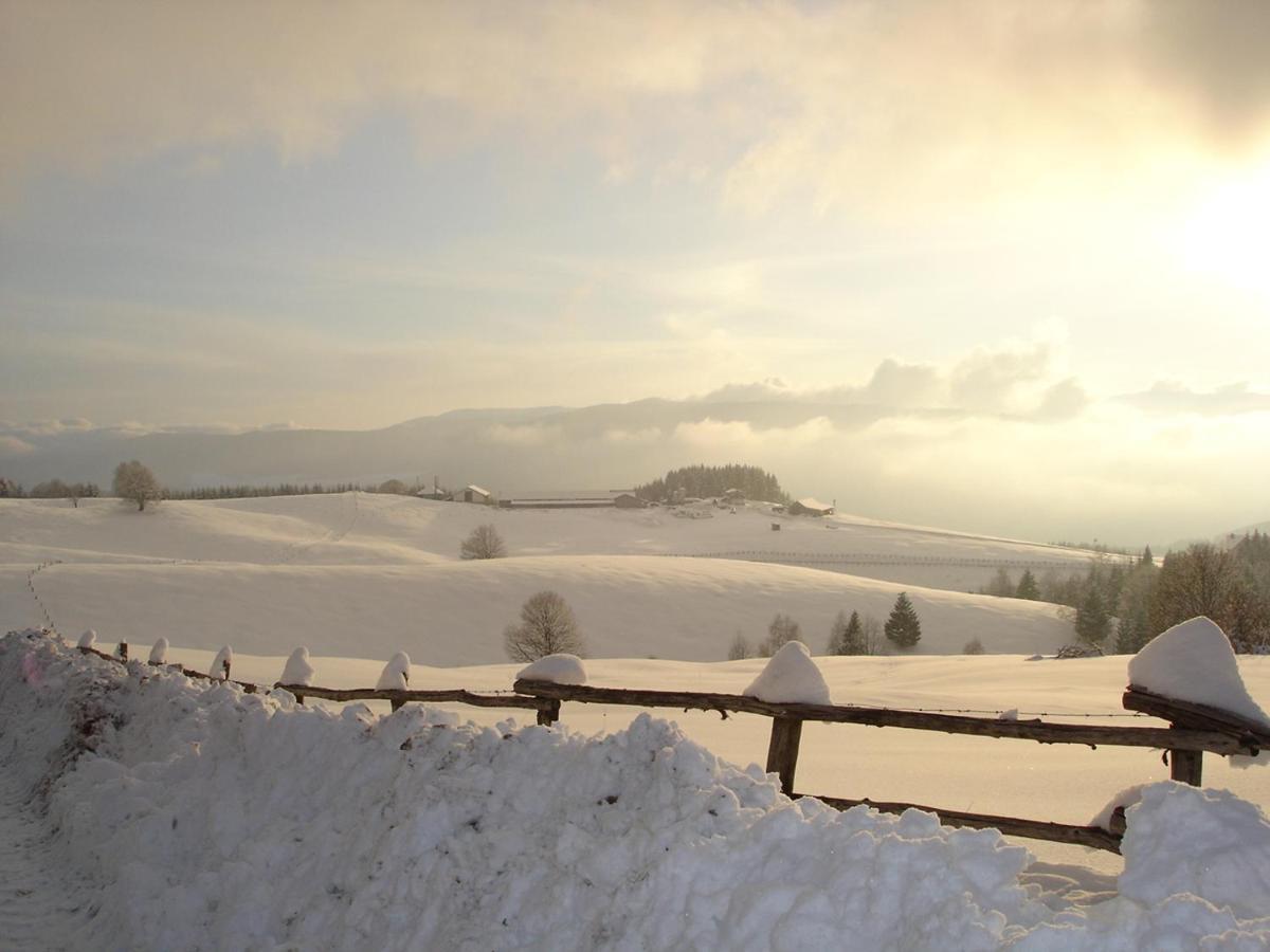 Da C I S A Bed and Breakfast Tambre dʼAlpago Eksteriør billede