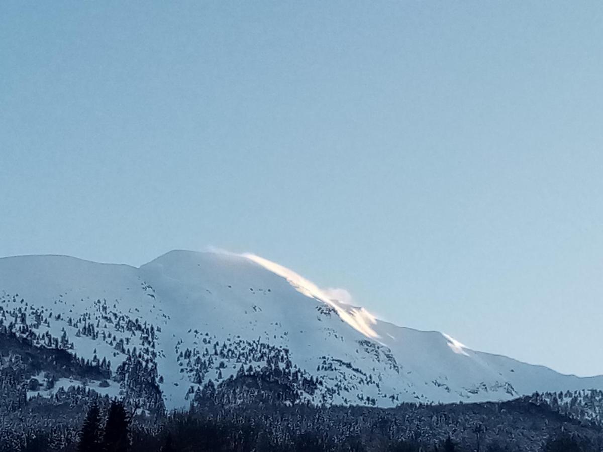 Da C I S A Bed and Breakfast Tambre dʼAlpago Eksteriør billede